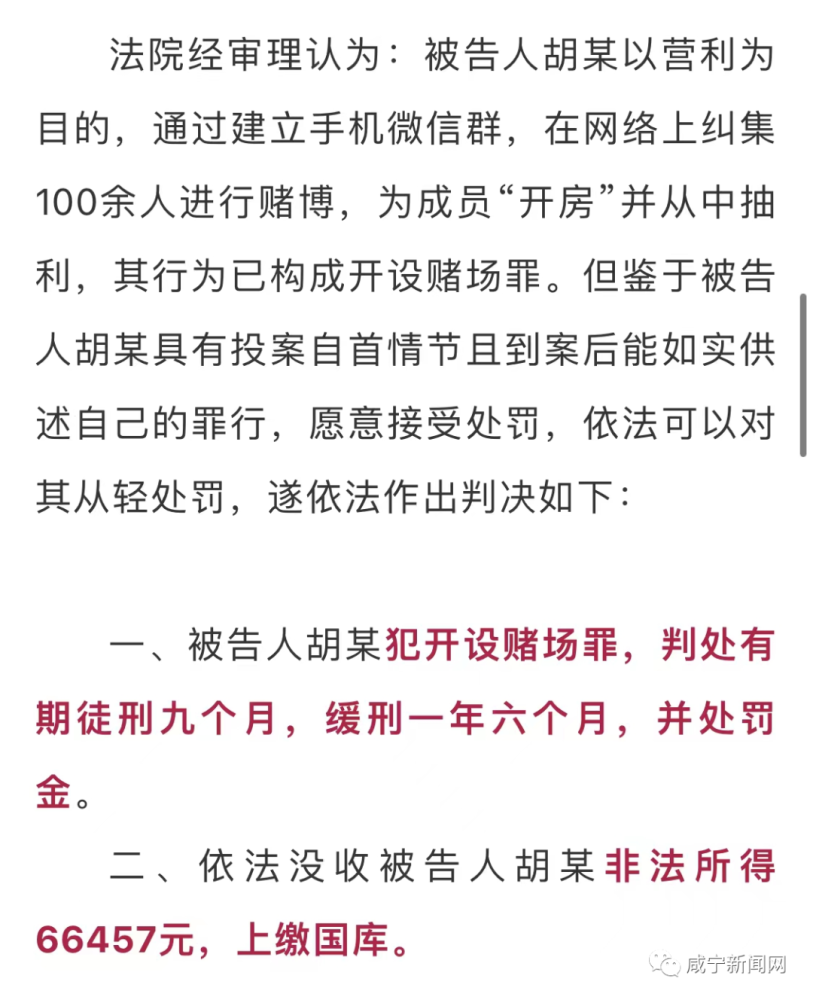 新澳门天天开好彩背后的解析与落实策略，一个关于犯罪与法律问题的探讨